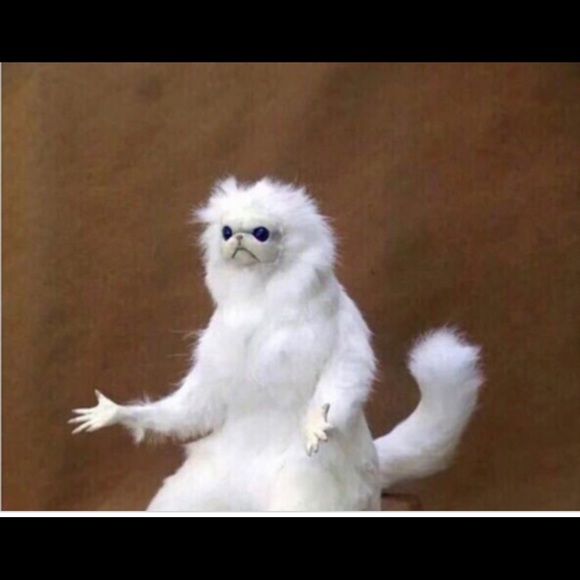 Meet your Posher, James - Picture 1 of 1